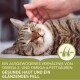 Eine entspannte getigerte Katze, die sanft gestreichelt wird, mit Text, der ein ausgewogenes Verhältnis von Omega-3- und Omega-6-Fettsäuren für gesunde Haut und glänzendes Fell fördert.