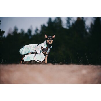Zwei Hunde in stilvollen, schillernden Regenmänteln stehen auf einer grasbewachsenen Fläche mit Bäumen im Hintergrund.