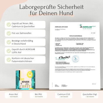 Lächelnder Shiba Inu Hund neben deutschem Text, der einfache tägliche Dosierung und natürliche Inhaltsstoffe für Hautentgiftung und Juckreizlinderung erklärt.