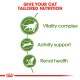 Infographic promoting tailored nutrition for cats, featuring three benefits: Vitality complex, Activity support, and Renal health.