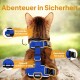 Eine Nahaufnahme einer Katze, die ein blaues Geschirr trägt, mit reflektierenden Details und sicheren Schnallen, mit Text, der Sicherheitsmerkmale hervorhebt.