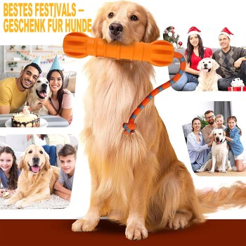 Golden Retriever hält ein orangefarbenes Knochen-Spielzeug mit Seil, Familien-Fotocollage von Hunden; sichtbarer Text: 'BESTES FESTIVALS – GESCHENK FÜR HUNDE'.