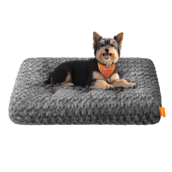 Kleiner schwarz-brauner Hund trägt ein orangefarbenes Feandrea-Halstuch und liegt auf einem strukturierten grauen Haustierbett mit orangefarbenem Feandrea-Label.