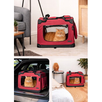 Orange getigerte Katze ruht in einem roten, weichwandigen Haustierträger mit Netzfenster; Etikett mit der Aufschrift „lionte“.