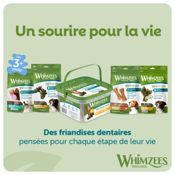 Friandises dentaires Whimzees et pot sur fond vert ; texte français « Un sourire pour la vie » et « Des friandises dentaires »