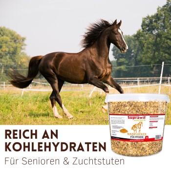 Nahaufnahme von Supravit WiesenGlück Maisflocken für schlanke Pferde, beschriftet mit „Maisflocken“ zur Futterergänzung.