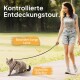 Eine Frau führt eine graue Katze an einer langen Leine in einem Park, mit Text, der 'Kontrollierte Entdeckungstour' und 'Stylisches Geschirr' hervorhebt.