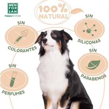 Ein stolzer schwarz-weißer Hund ist umgeben von '100% NATURAL'-Text und Icons für keine Farbstoffe, Silikone, Parfüme oder Parabene.
