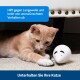 Eine verspielte orange Katze spielt mit einem kleinen weißen Spielzeug auf dem Teppich. Text oben: "Hilft gegen Langeweile," unten: "Unterhalte deine Katze."