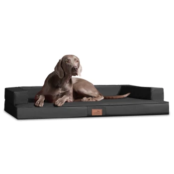 ® Orthopädisches Design Hundesofa GIBSON VISCO Kunstleder kubische Form schwarz/ graphit 80 cm, 22 cm, 60 cm Ein grauer Weimaraner-Hund, der auf einem schwarzen rechteckigen Haustierbett mit erhöhten Rändern entspannt, mit einem kleinen Lederetikett mit dem Markenlogo.