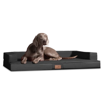 Ein grauer Weimaraner-Hund, der auf einem schwarzen rechteckigen Haustierbett mit erhöhten Rändern entspannt, mit einem kleinen Lederetikett mit dem Markenlogo.