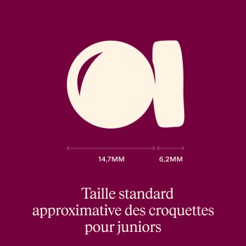Schéma de croquettes avec mesures 14,7 mm et 6,2 mm ; texte : Taille standard approximative des croquettes pour juniors