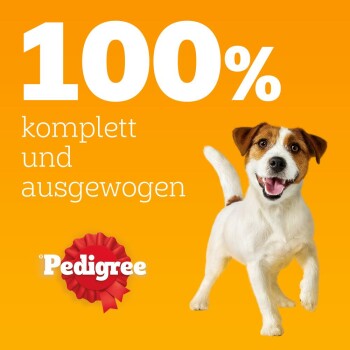 Ein verspielter Hund steht vor einem leuchtend orangefarbenen Hintergrund mit dem Text '100% komplett und ausgewogen' und dem Pedigree-Logo.