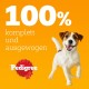 Ein verspielter Hund steht vor einem leuchtend orangefarbenen Hintergrund mit dem Text '100% komplett und ausgewogen' und dem Pedigree-Logo.