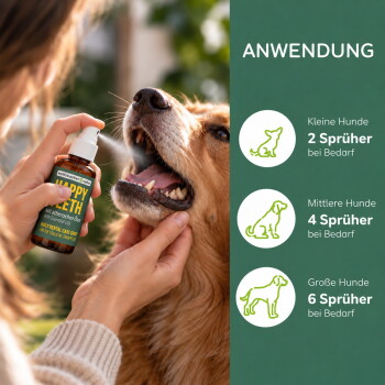 Eine Nahaufnahme eines Hundes mit einer Zahnpflegesprayflasche mit der Aufschrift 'ZAHNPFLEGE SPRAY' daneben. Der Text rechts gibt Anwendungshinweise auf Deutsch.