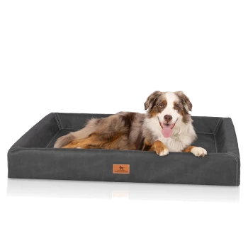 Dreifarbiger Australian Shepherd liegt in einem grauen, rechteckigen Hundebett mit Lederpatch mit der Aufschrift KNUFFELWUFF.