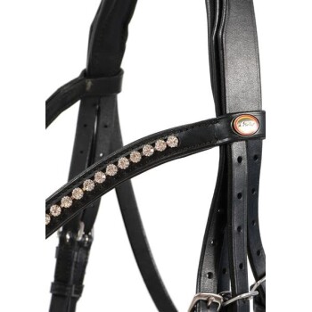 Schwarzes Haustiergeschirr mit funkelnden Strasssteinen entlang des Riemens, mit elegantem Design und verstellbaren Schnallen.