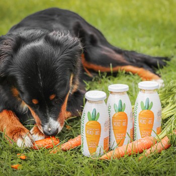 Eine Hand hält eine 'SmoothieDog'-Flasche mit einem Karottendesign und deutschem Text, vor einem Hintergrund aus leuchtend gelben Blumen.