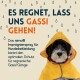 Ein Hund im gelben Regenmantel schaut in die Kamera mit Regentropfen im Hintergrund. Text: "ES REGNET, LASS UNS GASSI GEHEN!"
