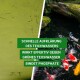 Bild geteilt: links zeigt trübes grünes Teichwasser, rechts klares Wasser mit Koi-Fischen. Text listet die Vorteile des Produkts auf.