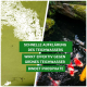 Bild geteilt: links zeigt trübes grünes Teichwasser, rechts klares Wasser mit Koi-Fischen. Text listet die Vorteile des Produkts auf.
