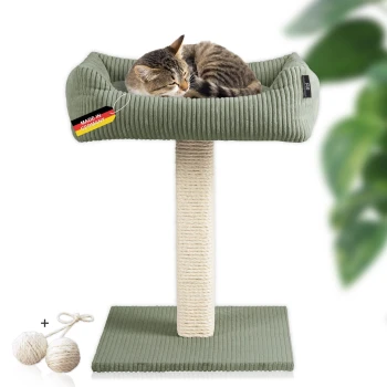 ® Katzenbaum Wolly mit kuscheligem Katzenbett, waschbarer Kissenbezug Ein gemütliches grünes Katzenbett auf einem Kratzbaum, mit einer getigerten Katze, die darin ruht. Das Etikett lautet "MADE IN GERMANY." Zwei Spielbälle sind enthalten.
