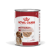 Canned dog food from Royal Canin, labeled "medium adult," suitable for dogs over 12 months, featuring a loaf mousse texture.