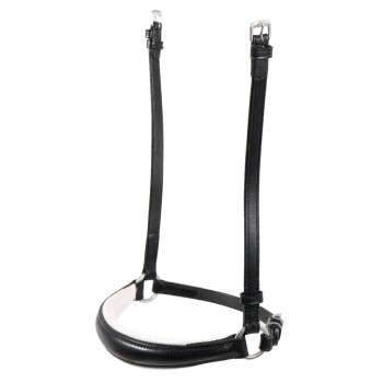 Schwarzes Lederhalsband für Hunde mit silberner Schnalle und verstellbarem Riemen, vor einem weißen Hintergrund präsentiert.