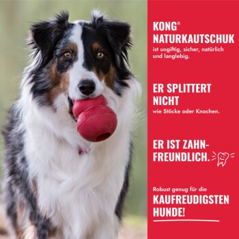 Hund hält rotes KONG-Spielzeug; rotes Panel zeigt 'KONG NATURKAUTSCHUK', 'ER SPLITTERT NICHT', 'ER IST ZAHN-FREUNDLICH'.