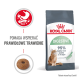Torba z karmą dla kotów Royal Canin Digestive z kotem, kawałkiem karmy i tekstem mówiącym '95% zdrowej jakości stolca w 10 dni.'