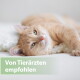 Entspannte orangegetigerte Katze auf einer weißen Decke, grünes Etikett: 'Von Tierärzten empfohlen'.