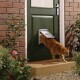 PetSafe Haustierklappe 2-Wege silber S