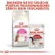 Protein Exigent 10 kg