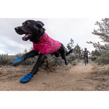 Ein schwarzer Hund, der eine leuchtend pinke Jacke und blaue Stiefel trägt, läuft energetisch auf einem sandigen Weg, mit einem Radfahrer im Hintergrund.