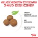 Małe granulki dla szczeniąt prezentujące trzy kawałki, z tekstem o naturalnych przeciwutleniaczach, bez barwników i sztucznych aromatów.