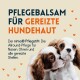 Pflegebalsam für gereizte Hundehaut, mit zwei Cavalier King Charles Spaniels, mit Text über den nimo® Pflege-Stick für Nase und Ohren.