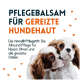 Pflegebalsam für gereizte Hundehaut, mit zwei Cavalier King Charles Spaniels, mit Text über den nimo® Pflege-Stick für Nase und Ohren.