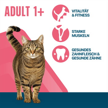 Getigerte Katze mit der Überschrift ‚ADULT 1+‘ und Symbolen, die Vorteile auflisten: Vitalität & Fitness; Starke Muskeln; Zahnfleisch & Zähne.