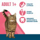 Getigerte Katze mit der Überschrift ‚ADULT 1+‘ und Symbolen, die Vorteile auflisten: Vitalität & Fitness; Starke Muskeln; Zahnfleisch & Zähne.