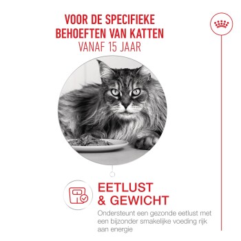 Zwart-wit foto van een langharige kat die eet van een bord, Nederlandse tekst over specifieke behoeften van katten vanaf 15 jaar.
