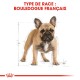 Illustration d'un bulldog français avec des lignes de mesure, étiquetée "TYPE DE RACE : BOULEDOGUE FRANÇAIS" en texte rouge gras.