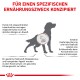 Silhouette eines Hundes mit deutschem Text zur spezialisierten Ernährung für Hunde mit Leberproblemen, mit Fokus auf Proteinlimits und metabolischen Herausforderungen.