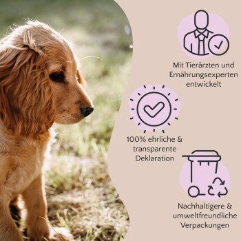 Ein Golden Retriever Welpe auf Gras, mit Text über von Tierärzten entwickelte Produkte, ehrliche Kennzeichnung und umweltfreundliche Verpackung.