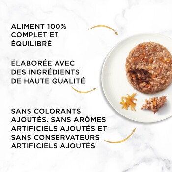 Galette de nourriture humide pour animal avec une carotte sur assiette blanche et fond en marbre ; le texte français indique « Aliment 100% complet et équilibré. »