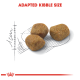 Three pieces of kibble on a sketched design with a ruler, labeled "ADAPTED KIBBLE SIZE" in bold red text.