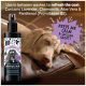 Ein schlafender Hund auf einer Ledercouch neben einer Flasche Bugalugs Lavendel- & Kamille-Deodorierungsspray, das Ruhe und Frische fördert.