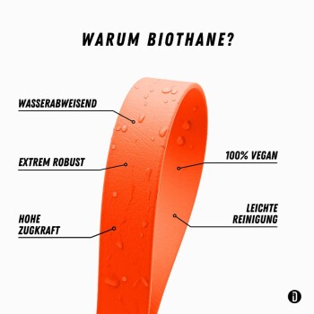 Nahaufnahme einer leuchtend orangefarbenen, wasserdichten Hundeleine mit Wassertropfen auf ihrer Oberfläche, vor einem weißen Hintergrund.