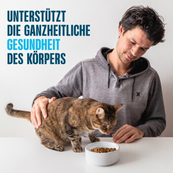 Mann streichelt eine getigerte Katze, die aus einer weißen Schüssel mit Kroketten frisst; sichtbarer Text: UNTERSTÜTZT DIE GANZHEITLICHE GESUNDHEIT DES KÖRPERS