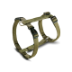 Olivgrünes Nylon-Hundegeschirr mit schwarzer Schnalle und Metall-D-Ring; auf der Schnalle ein kleines rotes Quadrat und weißer Text.