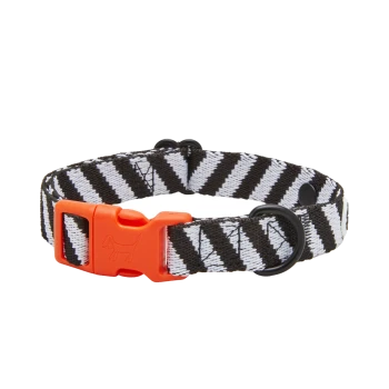 Schwarz-weißer gestreifter Hundehalsband mit einer orangefarbenen Schnalle und einem schwarzen Metall-D-Ring zur Leinenbefestigung.